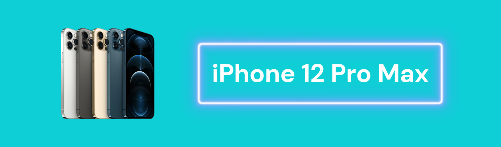 iPhone 12 Pro Max Kılıfları